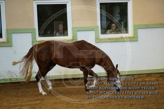 a_K3F04102.JPG